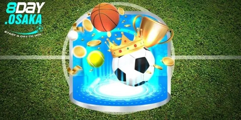 Những ưu thế khi thực chiến tại sảnh thể thao 8day